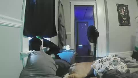 sexystripper69 online show from 05.11.26
