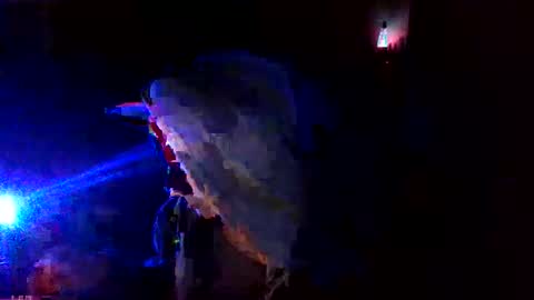 shades455 online show from 05.11.26