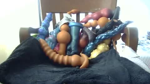 shakespeareisahomie online show from 11.16.25