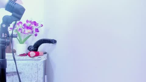 shalomexotic online show from 08.01.26