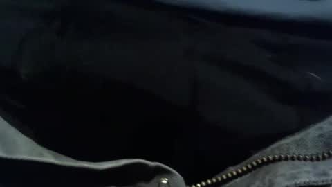 Shane online show from 03.08.26