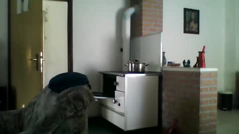 Snapshot of shaomy711 chatting on 12.22.24 excelo21 online show from 12.22.24