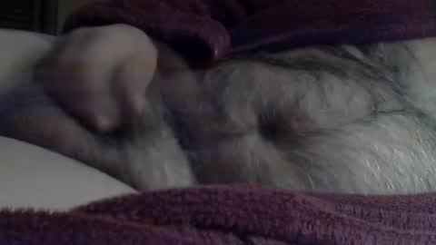 Snapshot of sharkey644 chatting on 03.03.26 Sharkey644 online show from 03.03.26