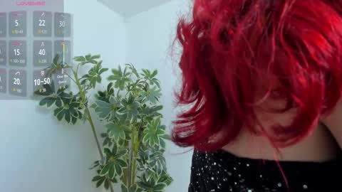 Shego  online show from 12.19.25