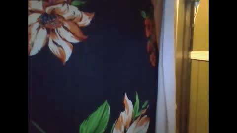 Snapshot of shelbyannn chatting on 12.10.24 Red online show from 12.10.24