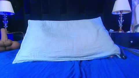 Shelsy online show from 02.12.25