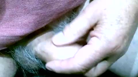 Snapshot of shootertog chatting on 10.13.25 shootertog online show from 10.13.25