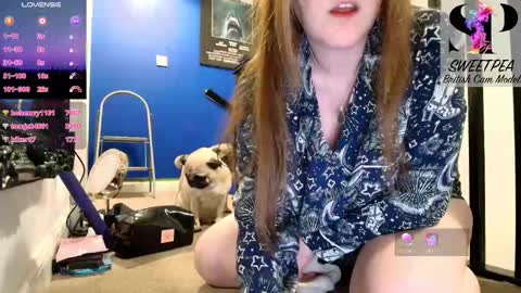 short sweetpea online show from 01.15.26