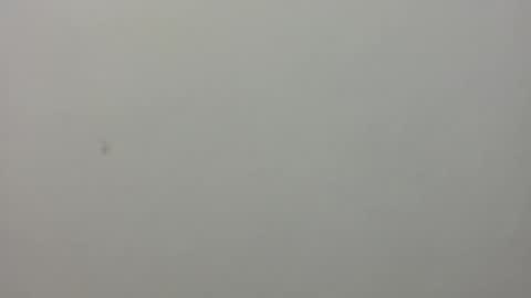 Snapshot of show_on_for_you chatting on 03.24.26 show_on_for_you online show from 03.24.26