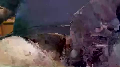 showsme online show from 09.17.25