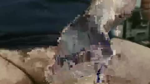 showsme online show from 09.22.25