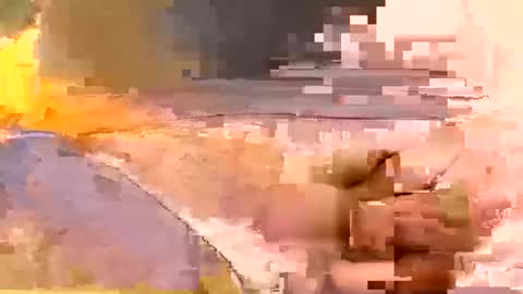 showsme online show from 02.19.26