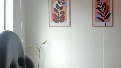 shylittlebunny online show from 06.09.26