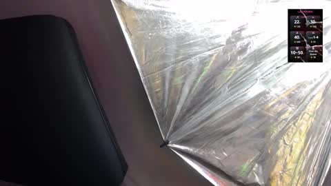 Sienna online show from 02.05.26