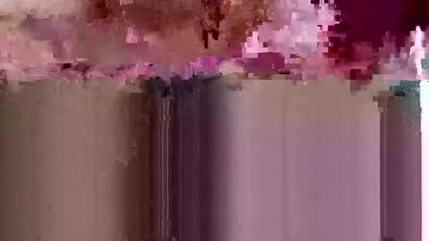 sigmaelixer online show from 05.17.26