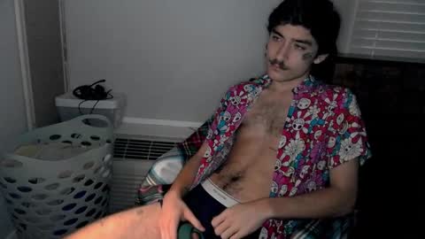 Snapshot of silly_cybin chatting on 01.17.25 cybin online show from 01.17.25