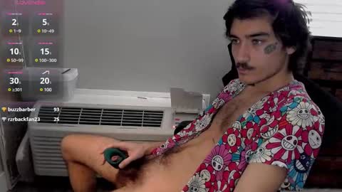 Snapshot of silly_cybin chatting on 01.20.25 cybin online show from 01.20.25