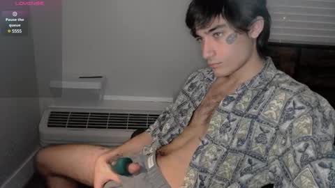 Snapshot of silly_cybin chatting on 01.29.25 cybin online show from 01.29.25