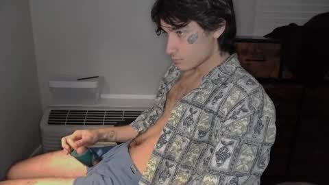 Snapshot of silly_cybin chatting on 01.31.25 cybin online show from 01.31.25