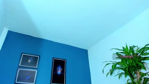 silvabranko online show from 11.09.25