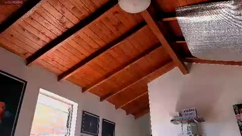 silvabranko online show from 06.22.26