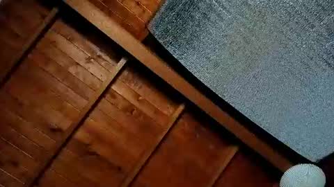 silvabranko online show from 07.05.26