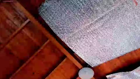 silvabranko online show from 07.19.26