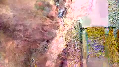 Snapshot of silversurfer1974 chatting on 01.16.25 silversurfer1974 online show from 01.16.25