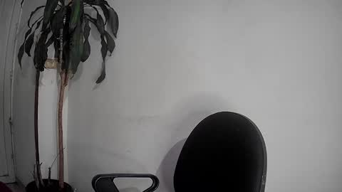 Snapshot of silviecollins chatting on 12.02.24 Silvie online show from 12.02.24