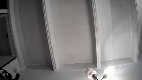 Snapshot of silviecollins chatting on 12.24.24 Silvie online show from 12.24.24