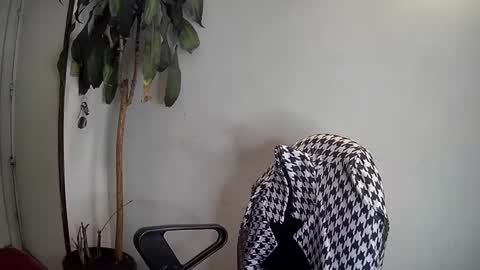 Snapshot of silviecollins chatting on 01.07.25 Silvie online show from 01.07.25