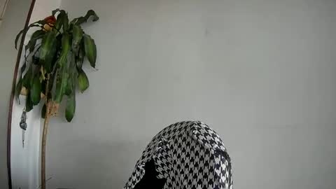 Snapshot of silviecollins chatting on 01.27.25 Silvie online show from 01.27.25