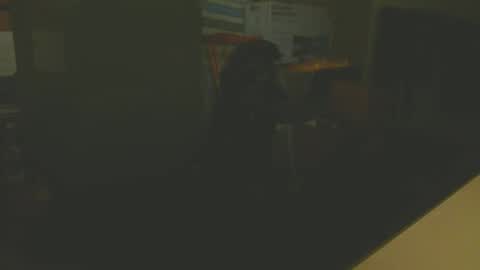 Snapshot of silvin76 chatting on 01.06.25 silvin76 online show from 01.06.25