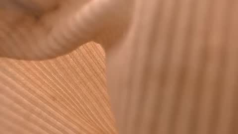 L Y N online show from 03.11.25