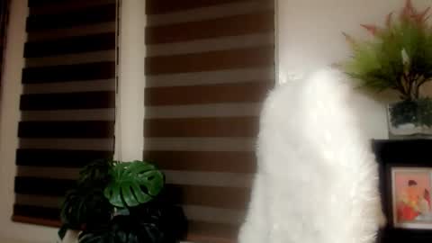     online show from 01.06.26