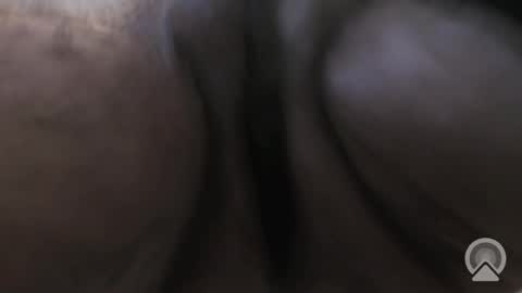 Sir Loin online show from 12.05.25