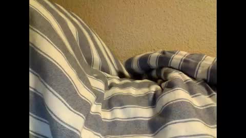 sircamalot45 online show from 02.17.25