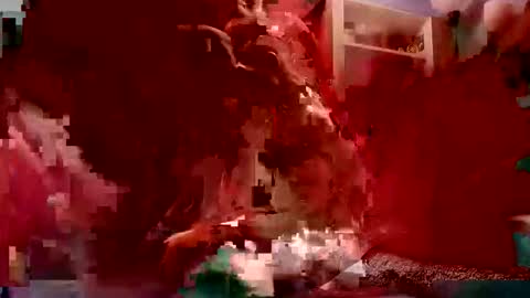 Snapshot of sirrodsalot chatting on 11.03.25 sirrodsalot online show from 11.03.25