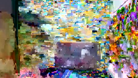 Snapshot of sirryant chatting on 02.08.25 SIR RYANT online show from 02.08.25