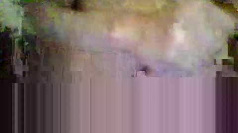 Snapshot of sisinyedz0000 chatting on 02.04.26 sisinyedz0000 online show from 02.04.26