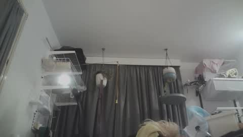 Snapshot of sissyboilooking chatting on 03.08.26 RESPONDS WELL TO ... online show from 03.08.26