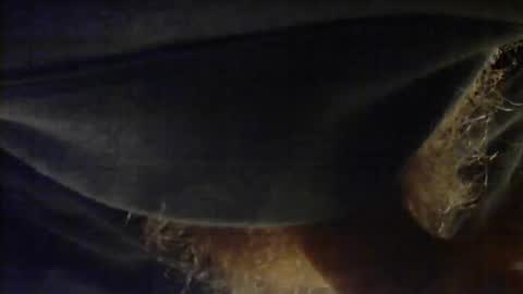 sjim368 online show from 12.02.25