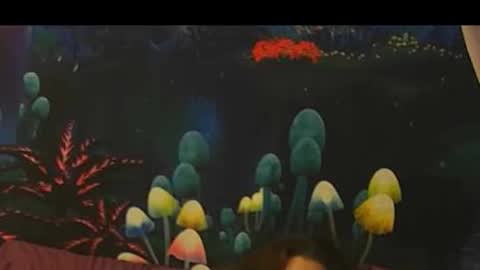 Snapshot of sk_bert chatting on 12.01.25 sk_bert online show from 12.01.25