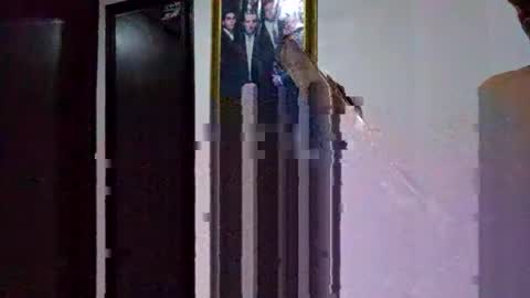 miguel online show from 03.09.26