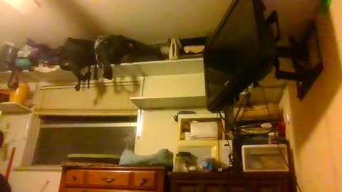 skewedviewblue online show from 12.05.25