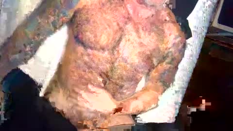 BEEF online show from 01.03.25