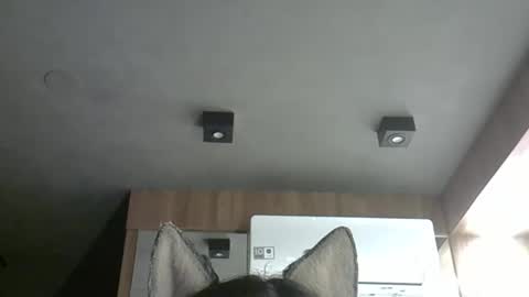 skinnykittencam online show from 10.24.25