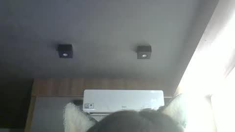skinnykittencam online show from 03.24.26