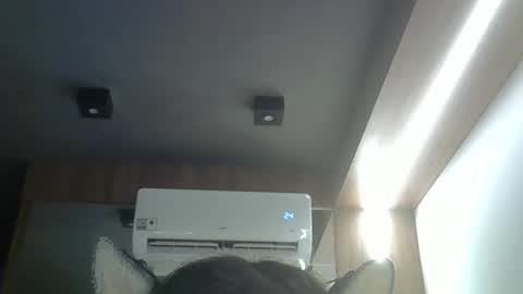 skinnykittencam online show from 04.08.26