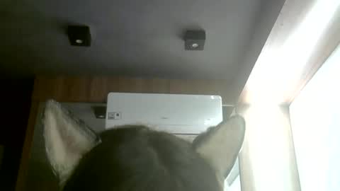 skinnykittencam online show from 06.22.26
